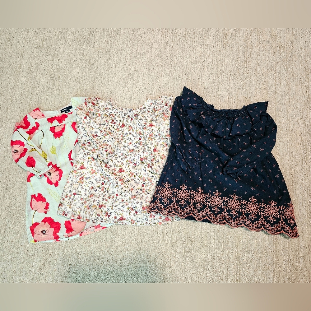 Baby Gap Dress Bundle